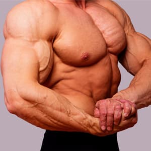 Как растут мышцы после тренировки