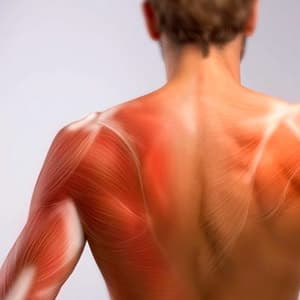 Болят мышцы после тренировки: что делать, чтобы уменьшить боль